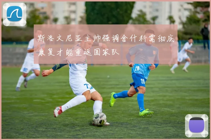 斯洛文尼亚主帅强调舍什科需彻底康复才能重返国家队